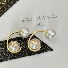 Christian Dior Earrings